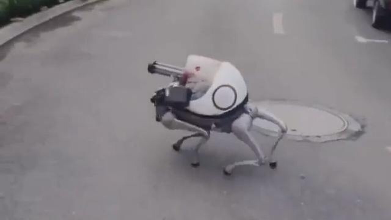 Bunny gun. A rabbit patrolling the neighborhood with a machine gun