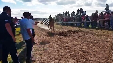 Raid para caballos de la zona y Raid de petizos - Pista Recalde - Fraile Muerto 23/11/2025