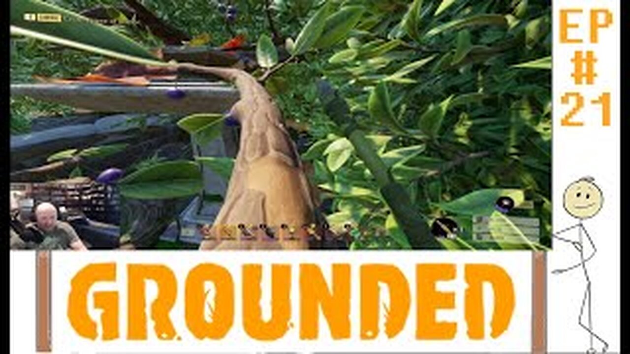 Grounded The Bird Bath