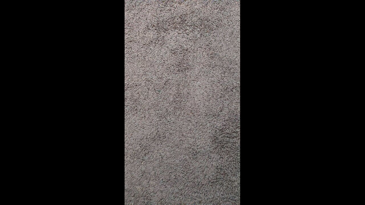 test 2