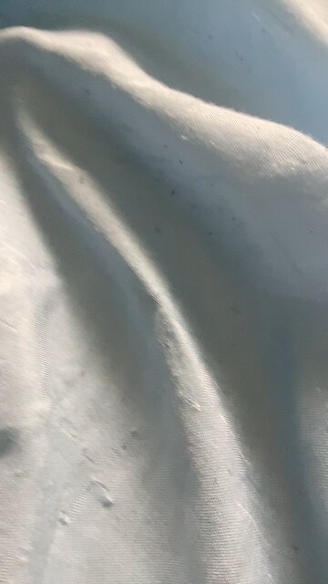 I’m thinking of a number