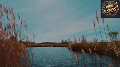 MYB-THE BRIDGE BETWEEN WHO YOU ARE AND WHO YOU WANNA BE