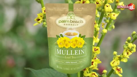 Efecto del Té de Hoja de Gordolobo en el Organismo