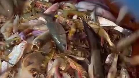 River cuisine (4) - Enjoy fresh seafood and fishing right on the river