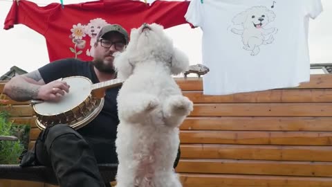 dance with cute dog 🐩 😍