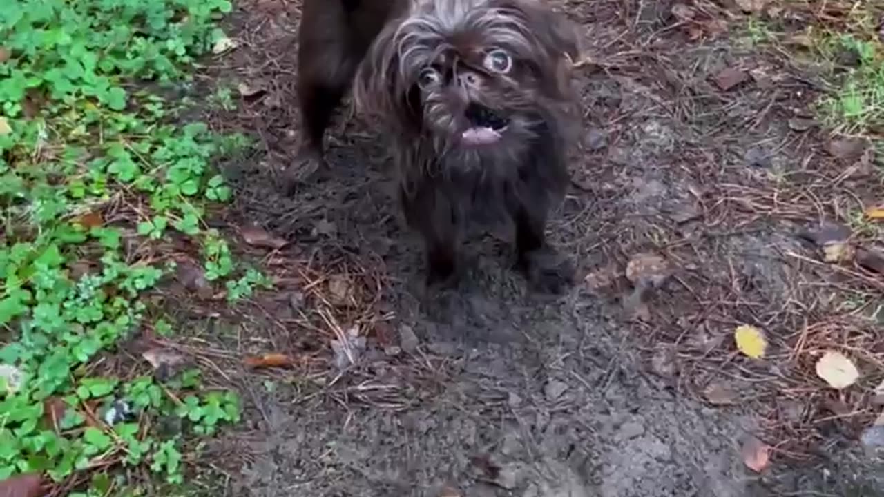 She looks traumatized