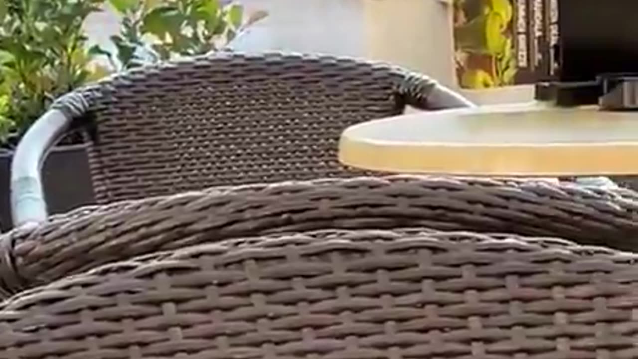He's had enough of her.