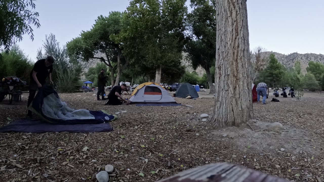 gas station boner pill