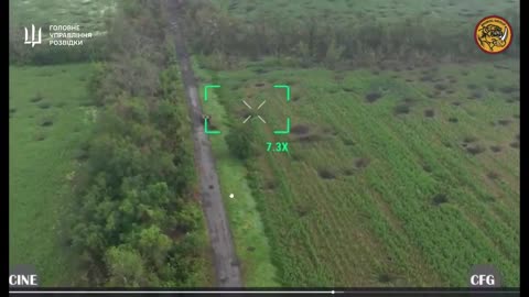 🤖🔥 Ukraine Russia War | Ukrainian 'Lyut' UGV Engages Russian Forces in Sumy | RCF