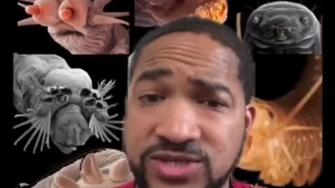 The Alien Matrix Are Extraterrestrial Parasites Controlling Your Mind &amp; Body