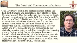 Sin Brought Death into the World
