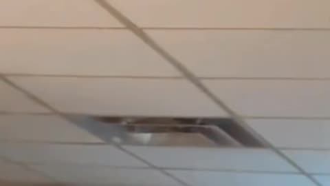 😨👀 4 Videos of Unexpected Creepy Eyes | TheHauntingHour