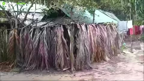 Live: my village