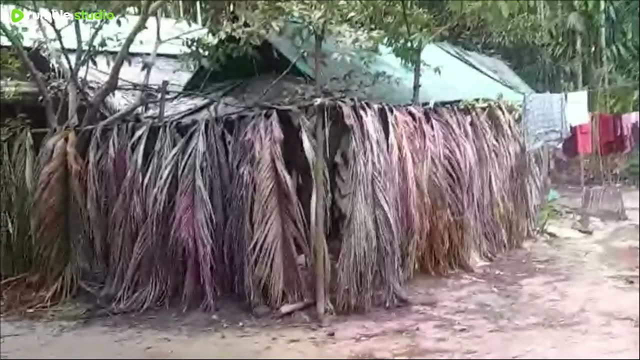 Live: my village