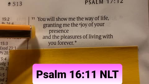 You will show me the way of life, granting me the joy of your presence and the pleasures