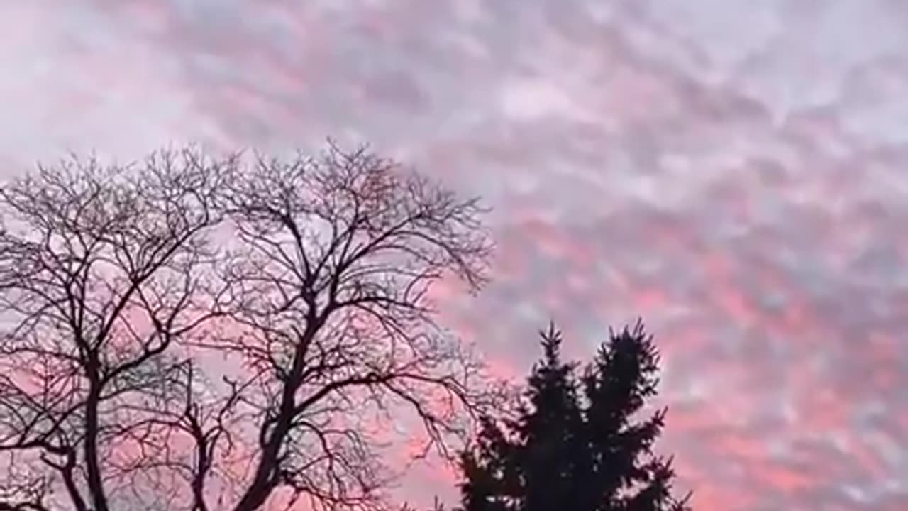 THE NEW YORKERS ARE TERRIFIED THAT THEIR NECKS WILL BE CUT, SO SHHHH!