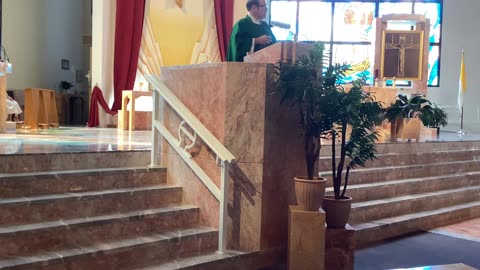 Father Martin Dunne homily July 6, 2025 Luke10:1-12,17-20