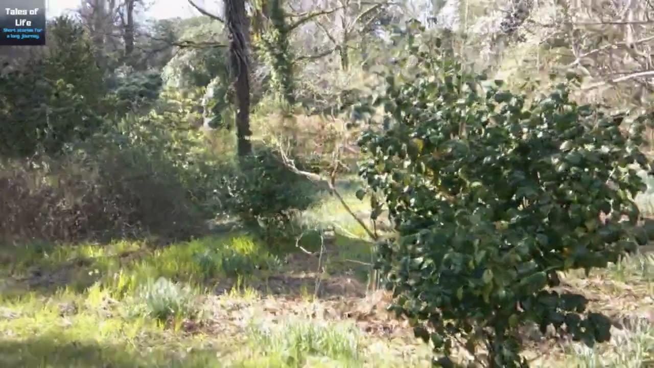Muncaster Castle pt 2 Cumbria England Tour