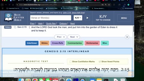 7/11/25 Gen 2:5-25 FATHER never wanted Adam or Eve to have conversation with Satan