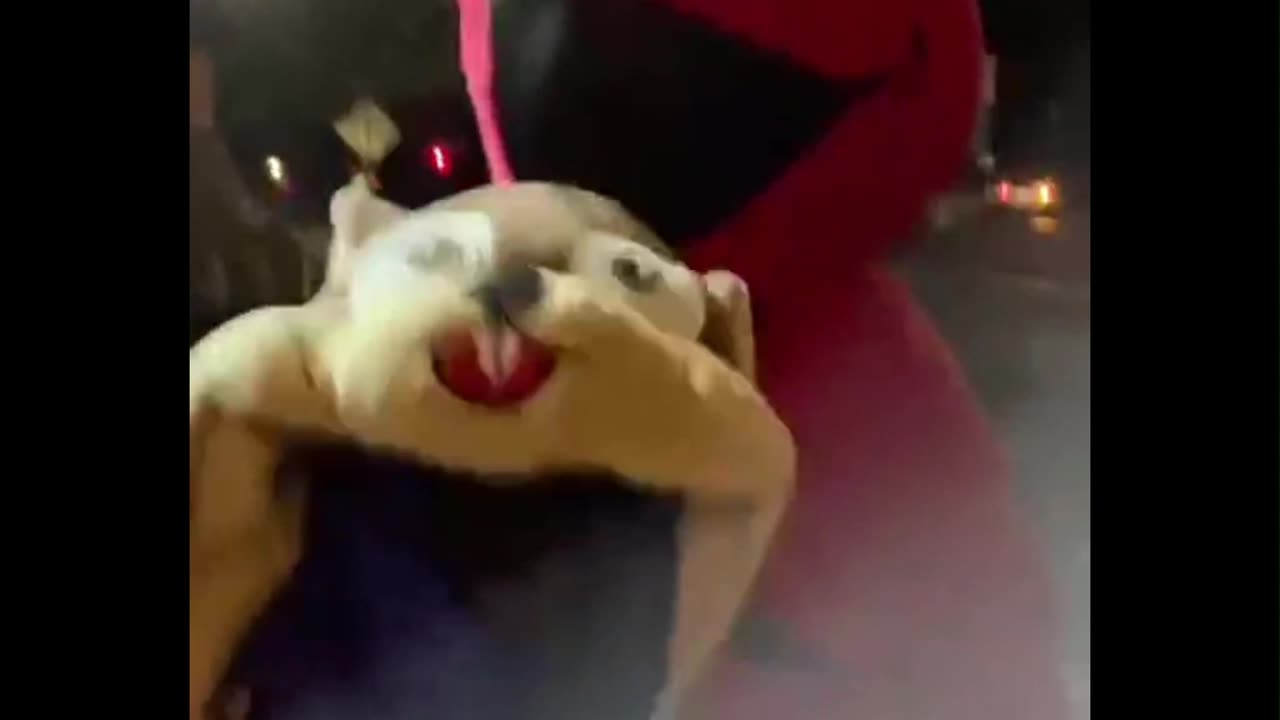 ChatRats Portland Elmo and the Squirrel Chick do a Selfie😎🤳🤣 🔥outside the Portland ICE Facility