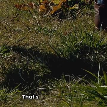 Hiking Shoe Mistakes Explained: Avoid These Common Pitfalls on the Trail