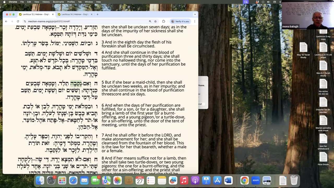 Parashas Thaz'riah and Metzorah: Leviticus 12:1-15:33