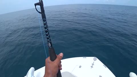pesca a pesci grossi o big fish, parte 2, hammer shark o grande squalo martello_part7
