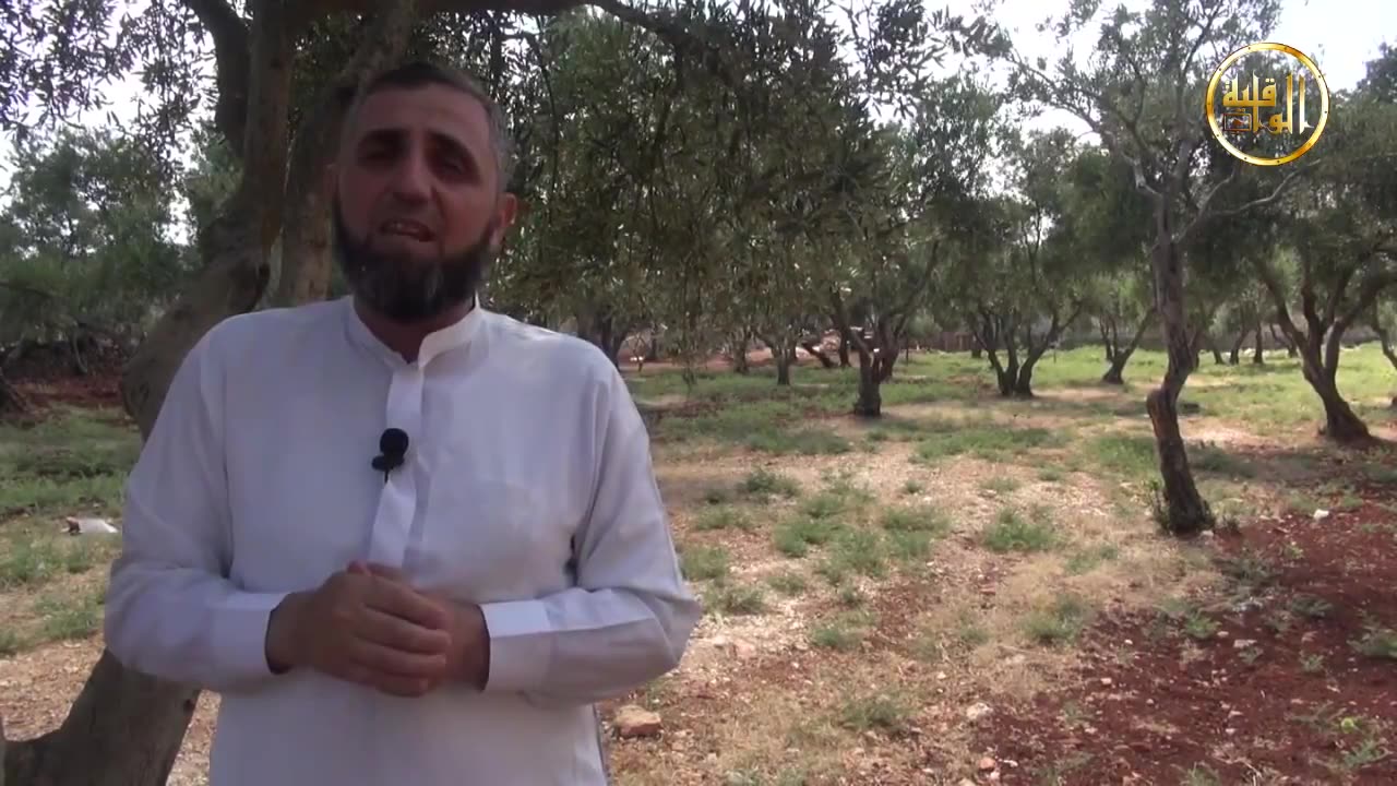 خواطر شامية حديث ينفع الأمة