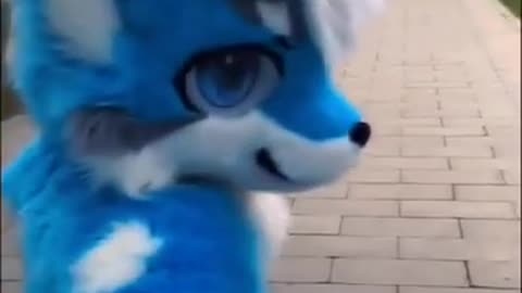 Take a walk😺