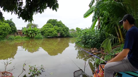 Im Fluss der Träume Fische jagen