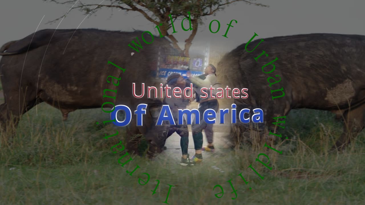 Tonight on metro wildlife | The urban Water buffalo