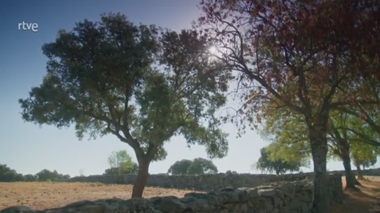 La Promesa - Capitulo 747 parte 5