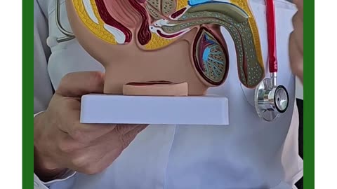 Sandheep Memorial Hospital – Best Urology Hospital in Madurai
