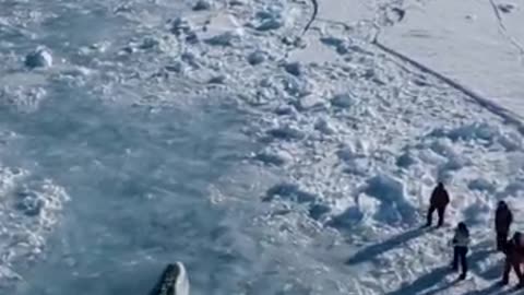 Drone Captures Enormous Creature Moving Beneath Antarctic Ice
