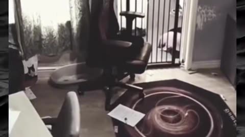 😨👻 You Won't Believe What They Caught on Camera! | TheHauntingHour