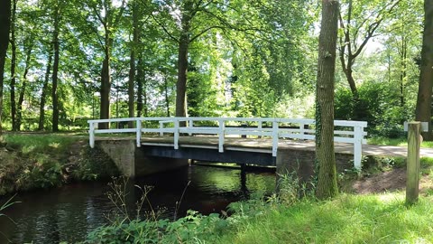 Castle Het Nijenhuis - Diepenheim