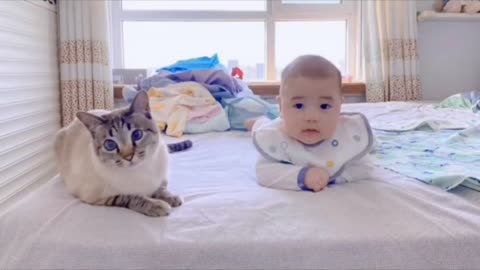 My cats found out I'm Pregnant