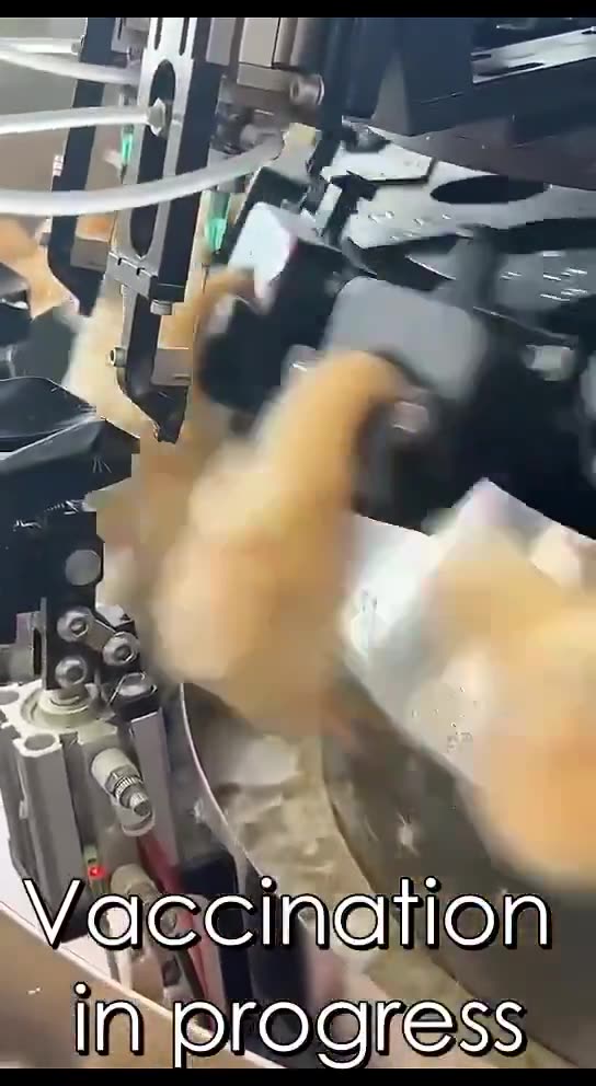 THE PEOPLE WHO DID THIS DON'T DESERVE TO BE ALIVE! PERIOD!