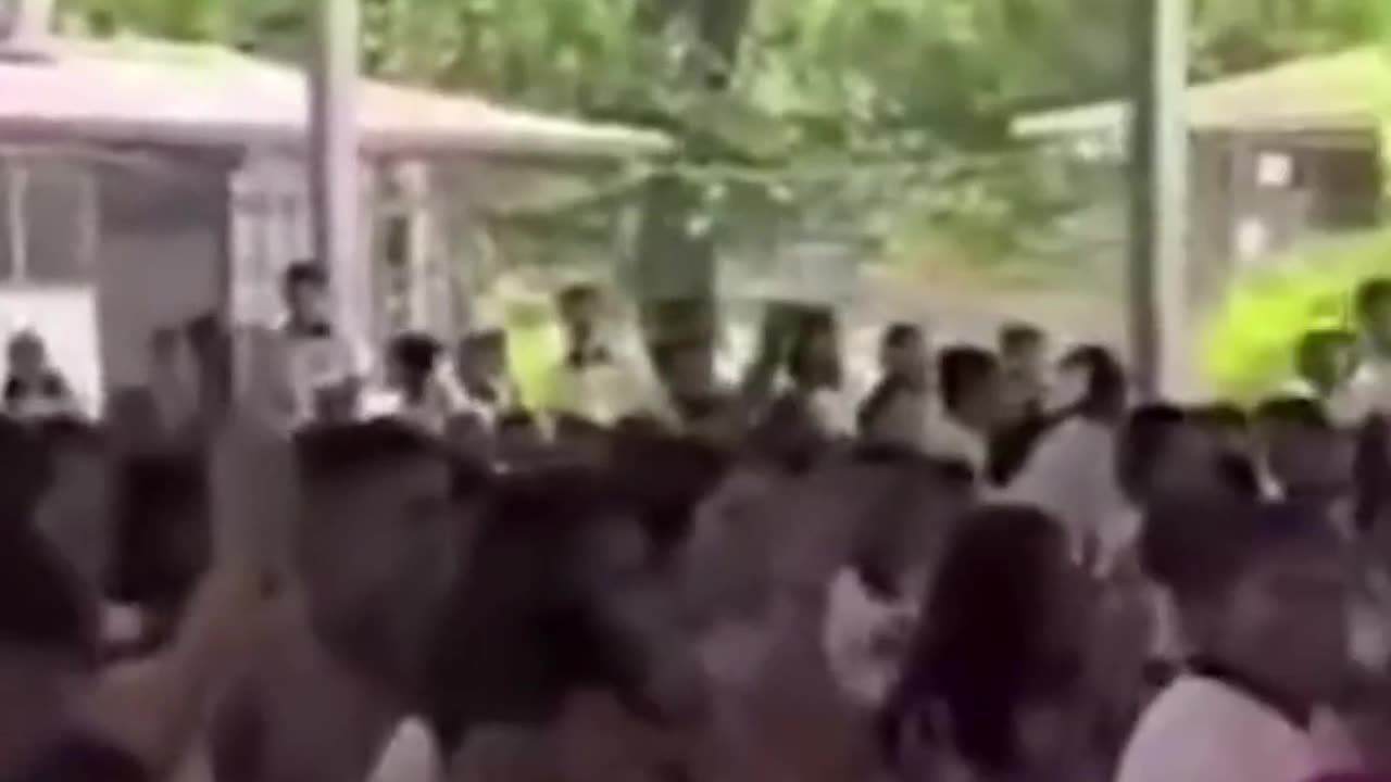 😂 Now He is a Legends at His School | FunFM