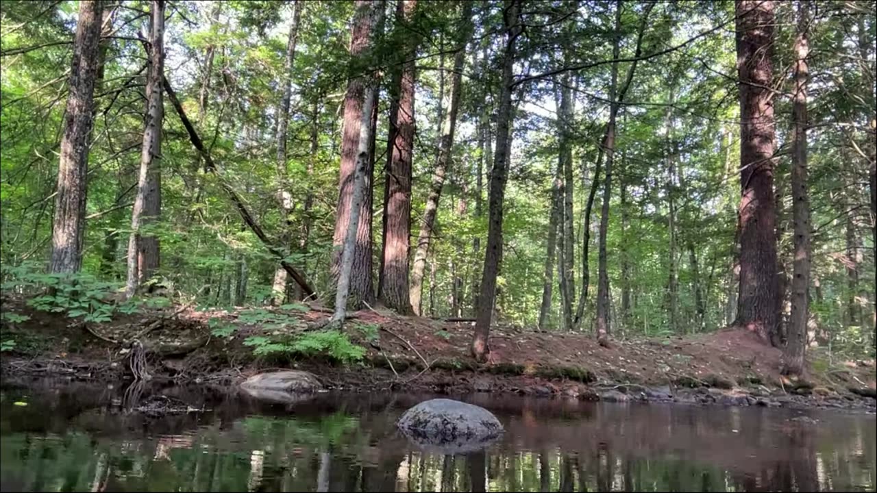 White Mountains - Last Day Of Adventures
