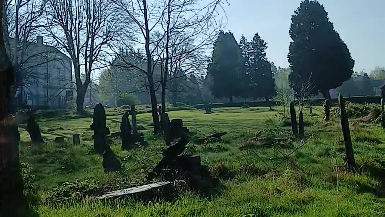 The lighting in the cemetery was special this morning