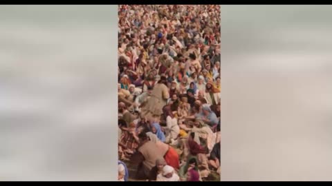 5 Loaves and 2 Fishes #short #shorts #video #jesus #bible