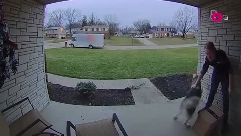 The FUNNIEST Pet Videos