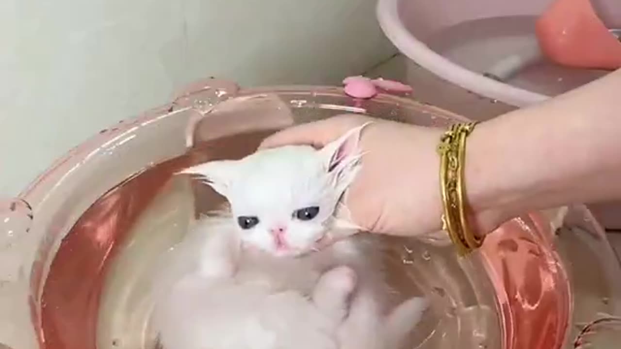 Does she know she’s alive??😭