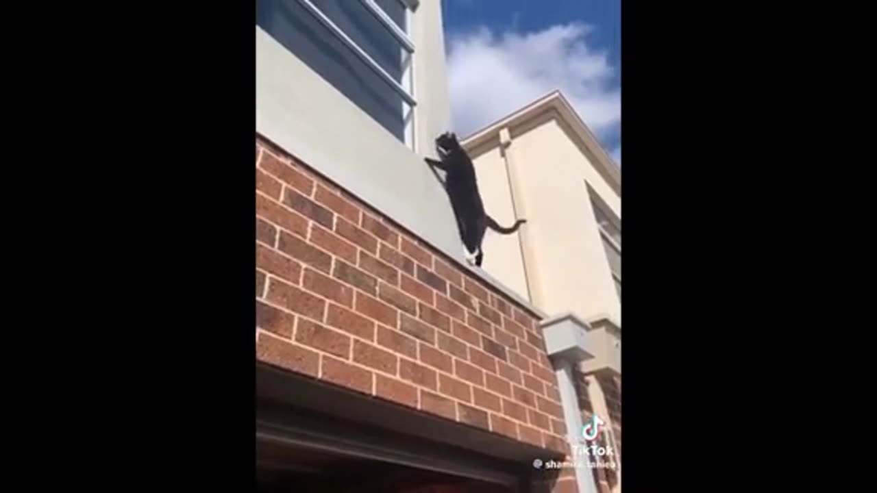 Need a laugh here and there ;)