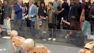 Art Basel Miami Beach goes high tech with robotic canine humanoids