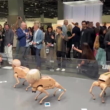 Art Basel Miami Beach goes high tech with robotic canine humanoids