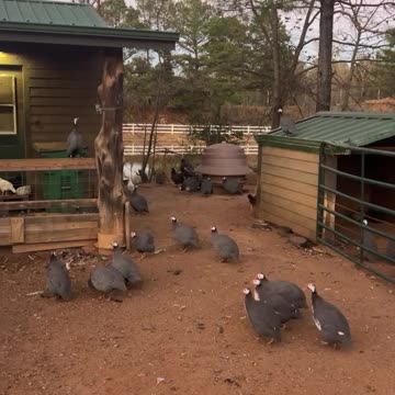 Stop making a Fuss and GO TO BED!!!