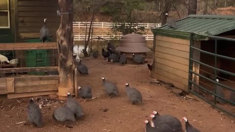 Stop making a Fuss and GO TO BED!!!