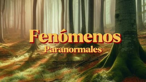 Bosque de Hoia: El enigma paranormal de Transilvania que aterroriza al mundo